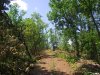 Вырубка леса на хребте Ильская стрелка