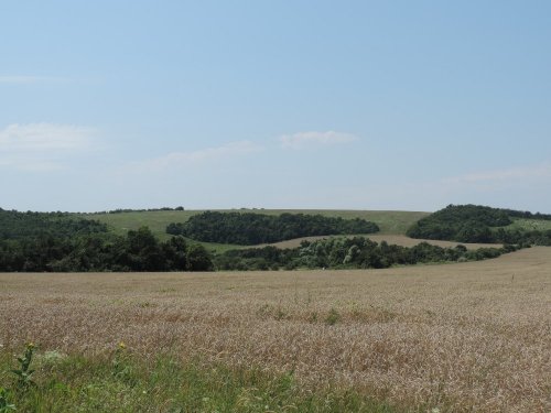 На заднем плане - гора Колесникова