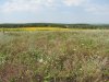 Место планируемого размещения отходоперерабатывающего комплекса - вершина горы Колесникова