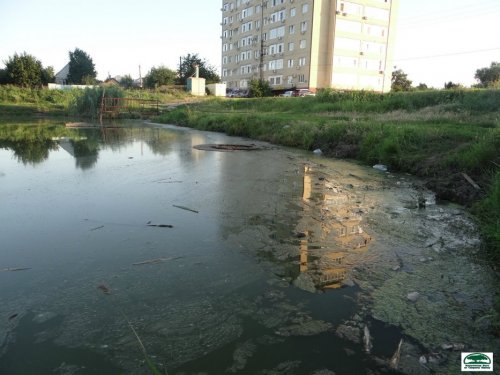 Вот так выглядит берег Карасунского озера 
