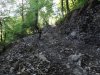 Масштабы учиненного "Розой Хутор" беззакония впечатляют