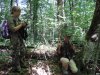 Помимо маркировки дороги по ее трассе встречаются деревья с нанесенными краской номерами
