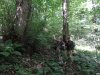 Активисты ЭкоВахты фиксируют места маркировки трассы дороги