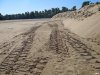 Следы эскаватора, выгребавшего песок из Кубани