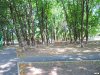 Сквер в центре поселка