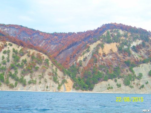 Последствия лесного пожара возле Джанхота