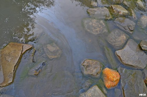 Масляные пятна на воде в месте где проезжают автомобили