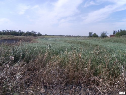 Какайские пруды в станице Платнировской