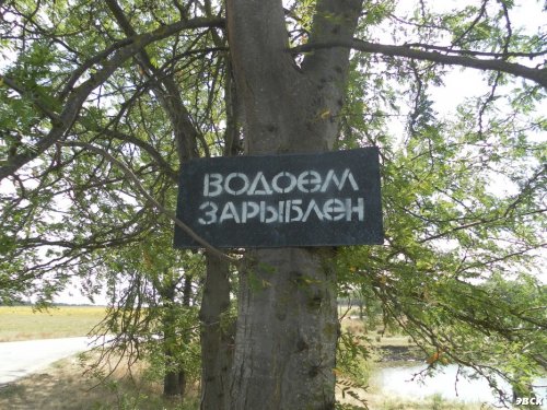 Какайские пруды в станице Платнировской