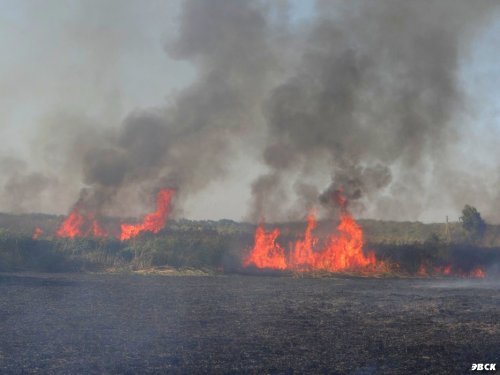 Пожар на балке Куркулина