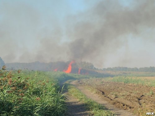 Пожар на балке Куркулина