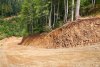 Деревья у среза поворота дороги обречены на гибель.