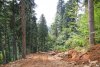 Просека и дорога на нижней части южного склона горы Аибга