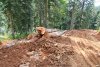 Стволы у обочины дороги.