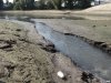 Всё это течет прямиком в Затон