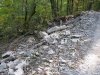 Незаконное строительство дороги Розы Хутор в Сочинском нацпарке