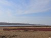 Вид с территории памятника природы на косу Тузла