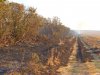 Последствия осенних сельхоз палов на кубанских полях