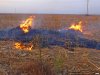 Последствия осенних сельхоз палов на кубанских полях