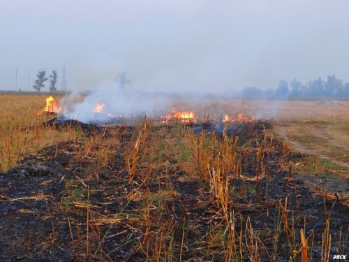 Последствия осенних сельхоз палов на кубанских полях