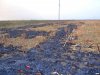 Последствия осенних сельхоз палов на кубанских полях
