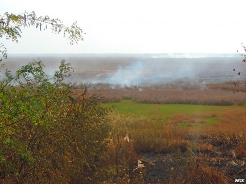 Последствия осенних сельхоз палов на кубанских полях