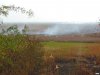 Последствия осенних сельхоз палов на кубанских полях
