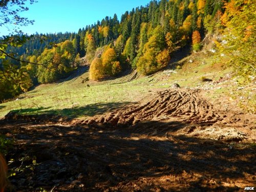 Последствия преступной деятельности компании "Роза Хутор" на южном склоне хребта Аибга