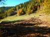 Последствия преступной деятельности компании "Роза Хутор" на южном склоне хребта Аибга