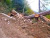 Экологический беспредел на южных склонах хребта Аибга