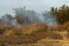 Горящая трава и спиленные деревья