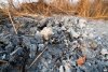 Остатки сгоревших отходов 