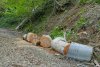  Незаконная вырубка в районе поселка Якорная Щель