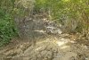 Незаконная вырубка в районе поселка Якорная Щель