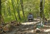  Незаконная вырубка в районе поселка Якорная Щель