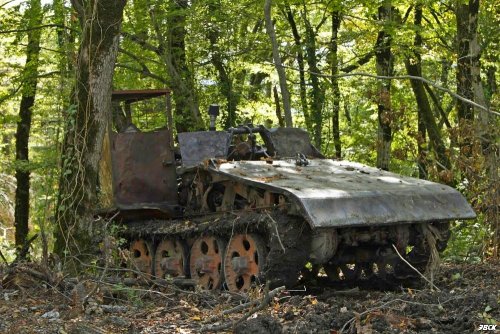  Незаконная вырубка в районе поселка Якорная Щель