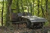  Незаконная вырубка в районе поселка Якорная Щель
