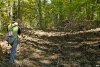  Незаконная вырубка в районе поселка Якорная Щель