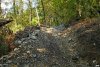  Незаконная вырубка в районе поселка Якорная Щель