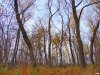Лесопарк "Хомуты"