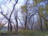 Лесопарк "Хомуты"