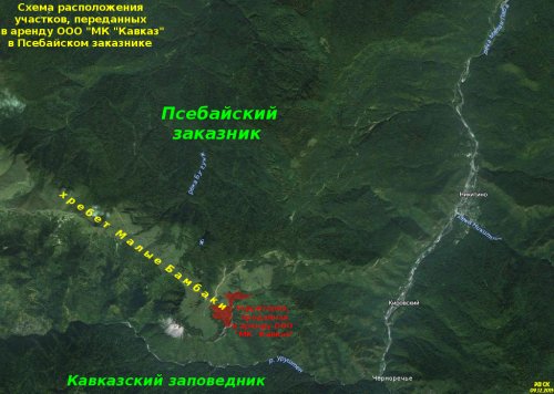 Схема расположения участков, переданных в аренду ООО "МК "Кавказ" в Псебайском заказнике