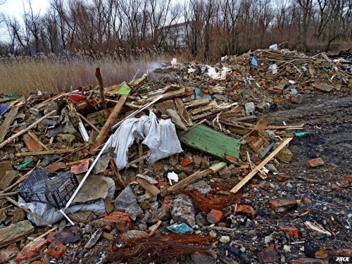Зеленый остров: мусорный бум в русле Кубани