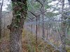 Якобы демонтированный забор вокруг "дачи Ремезкова" в Ленинградской щели