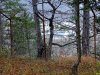 Якобы демонтированный забор вокруг "дачи Ремезкова" в Ленинградской щели