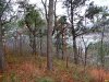 Забор вокруг "дачи Ремезкова" в Ленинградской щели (село Бжид)