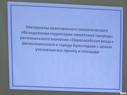 Общественные слушания по "Первомайскому парку"