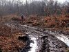Лесорубы изуродовали Дубинский лес не только опустошенными вырубками пространствами, но и шрамами лесовозных дорог