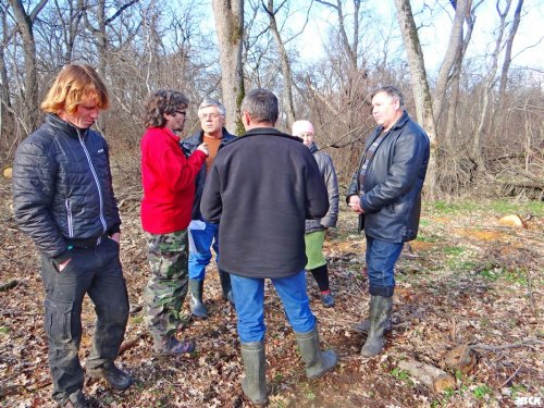 Споры между общественностью и представителями Минприроды Кубани во время проверки законности рубок в Дубинском лесу