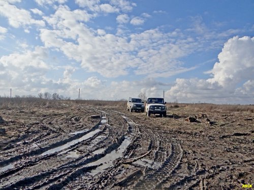 При вырубке леса были изуродованы также земли сельхозназначения рядом с Дубинским лесом